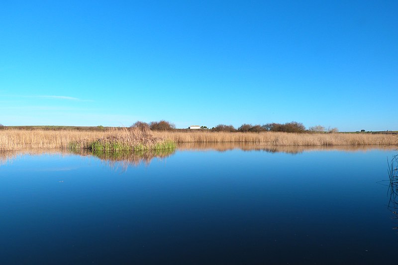 File:Humedal de Las Tablas de Daimiel 01.JPG