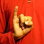 The "I" handshape produced with the the palm facing the camera