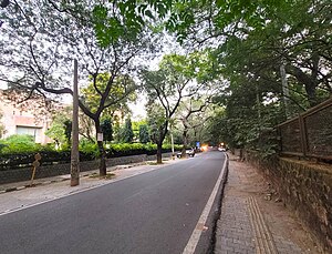 IIFT Delhi campus is on the left, Sanjay Van is on the right. IIFT Delhi road.jpg