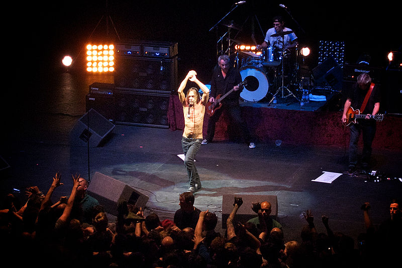 File:Iggy and The Stooges - 4572430111.jpg