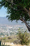 Iguala view - panoramio (2).jpg