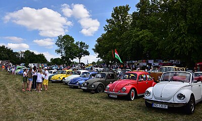 Zlot Miłośników VW Garbusa