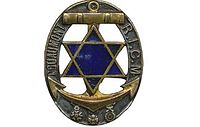 Regimental badge van het RICM, opengewerkt ovaal, email, donkerblauwe ster..jpg