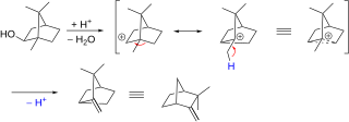 Isoborneol Camphene Conversion