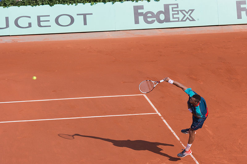 File:J-W Tsonga - Roland-Garros 2012-J.W. Tsonga-IMG 3611.jpg