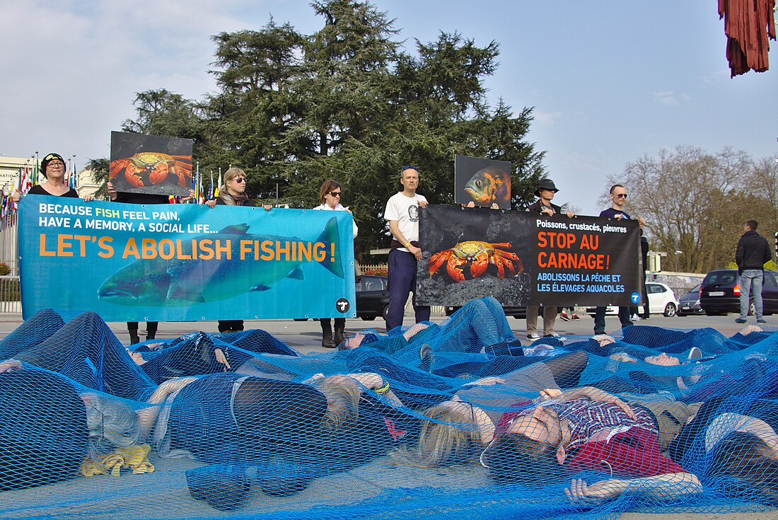 Journée mondiale pour la fin de la pêche