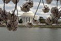 wmdc:File:Jefferson Memorial 06.jpg