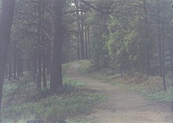 Joggingspår i kommunal park