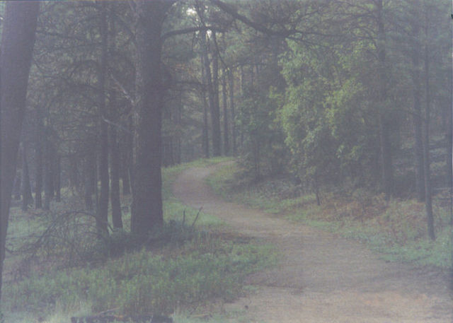 Jogging trail in a municipal park in Ruidoso just after sunrise, July 2008