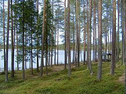 Oulu: Nimen alkuperä, Historia, Maantiede