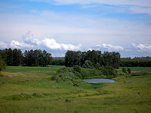 Берёзовые колки с озером, окружённые полем. Калманский район