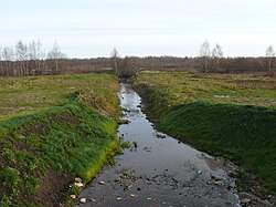 Porusya'nın bir kolu olan Starorussky Bölgesi'ndeki Kamenka Nehri