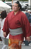 稀勢の里（2008年）