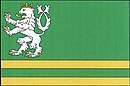 Kohutovs flagg