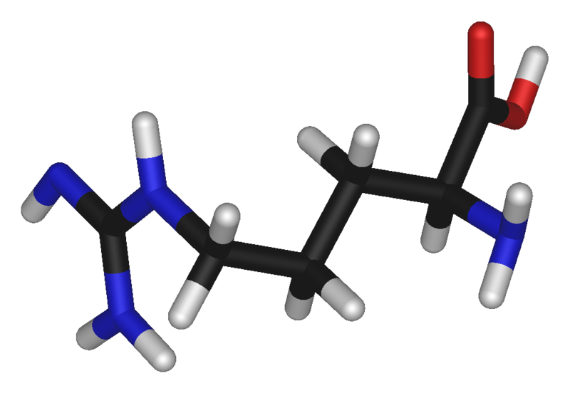 File:L-arginine-3D-hztl.png - Wikimedia Commons