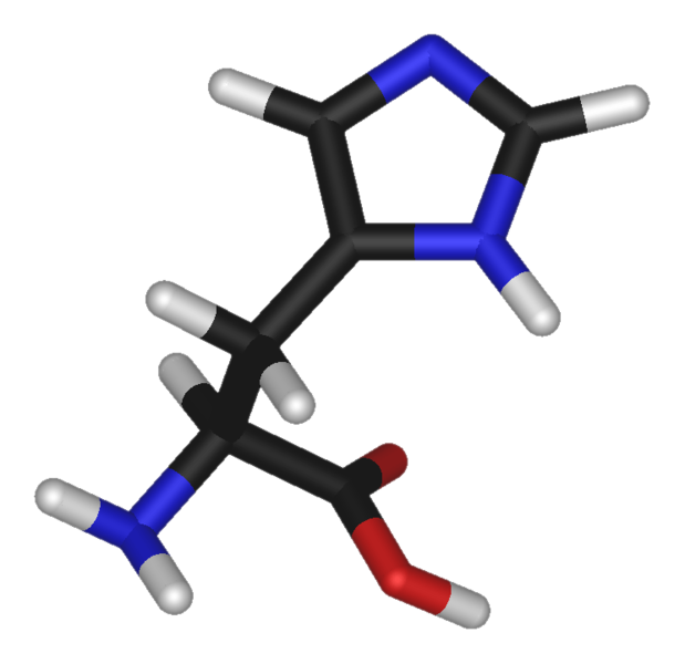 File:L-histidine-3D-sticks.png