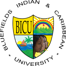 OFICIAL BICU.png logotipi