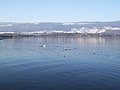 Kilátás a Neuchâteli-tóról Grandson felé