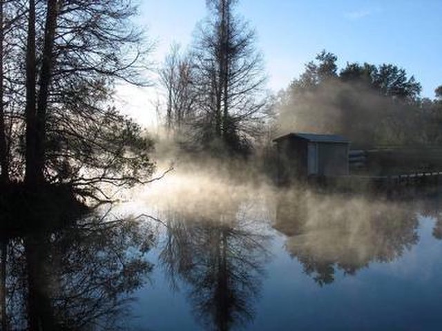 Lake Griffin State Park - Wikipedia