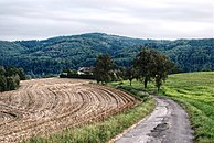 Landschaft in Puchenau, HDR