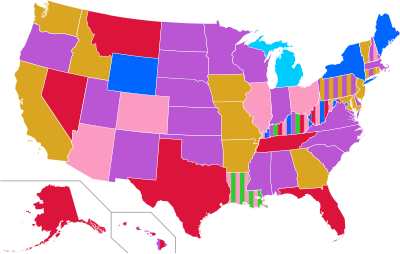 Primo turno della convention presidenziale del Partito Libertario, 2020.svg