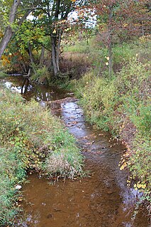 Lick Run (Roaring Creek tributary) River