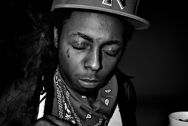 Lil Wayne's verse on the song was praised by most music critics.