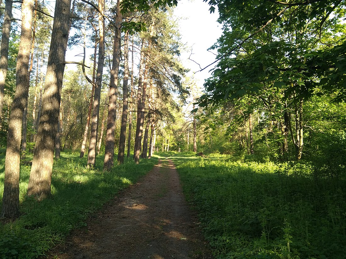 Лісова пісня (парк, Черкаси)