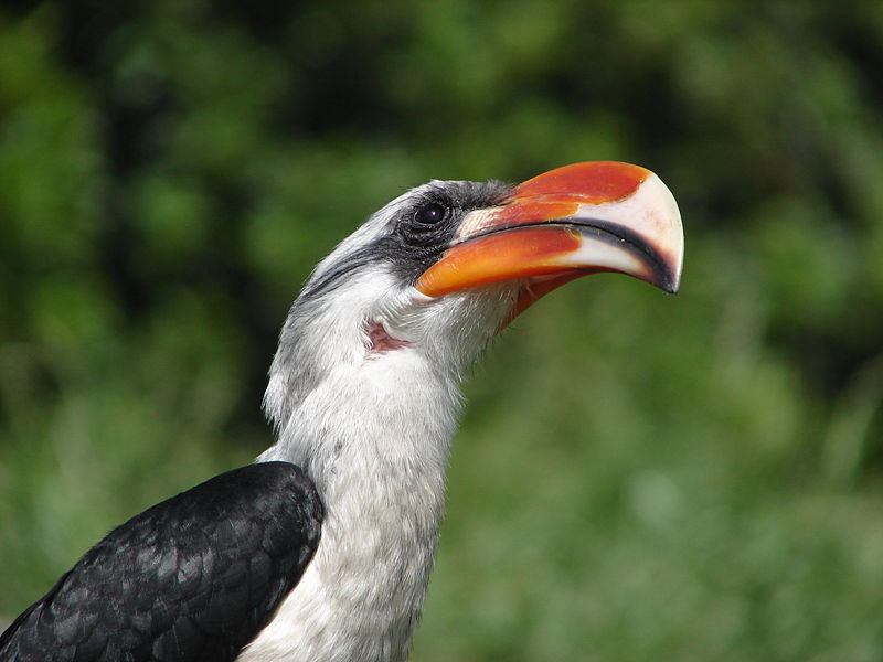 File:London Zoo 00948.jpg