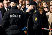 Miniatyrbild för Polisens grader i Danmark