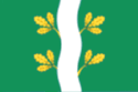 Flag of Mayna