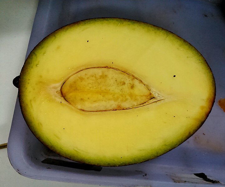 File:Mangifera foetida fruit longitudinal cut Pj 20160311 203342.JPG