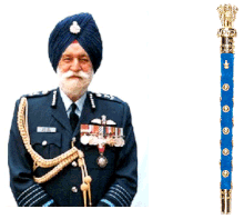 Marshal of Indian Air Force Arjan Singh.gif
