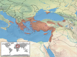 Mediodactylus kotschyi distribution.png