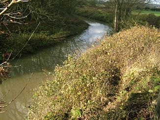 La rivière Bourne non loin de sa confluence avec la rivière Medway