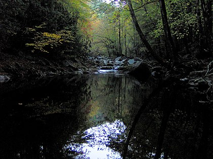 Middle Prong of Little River, just above Walker Valley Middlepronglittleriver-tenn.jpg