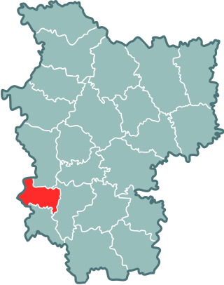 Location of Ņasvižas rajons