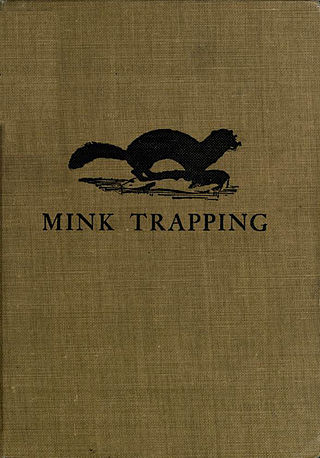 <i>Mink Trapping</i>