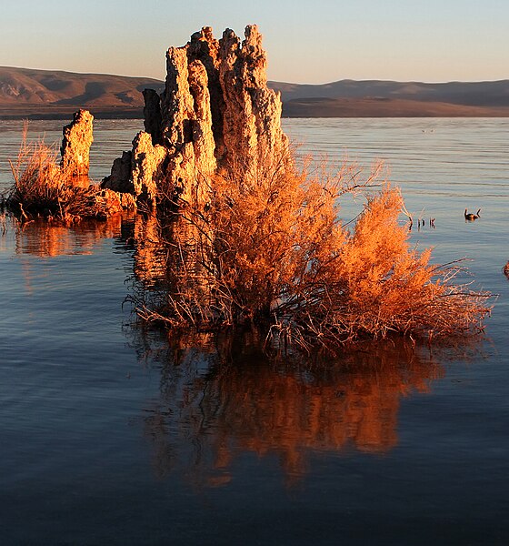 File:Mono lake tufa formation.jpg