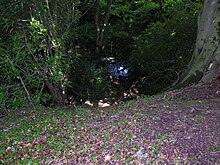 Radyr motte and moat viewed from top