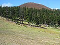 Mt. Bachelor Ski Resort (2014)