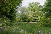 Meadow in the garden de l'Aigle