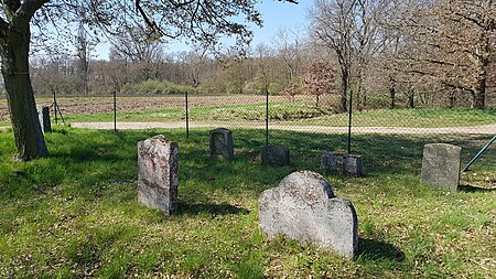 Neuhofen Judenfriedhof 4 2018