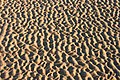 * Nomination New Brighton Beach sand pattern --Mike Peel 19:45, 15 July 2022 (UTC) * Promotion  Support Good quality. --Poco a poco 09:18, 16 July 2022 (UTC)