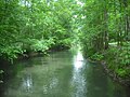 Vignette pour Réserve naturelle régionale du Ried de Sélestat, l'Ill*Wald