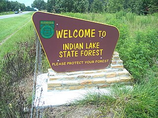 Indian Lake State Forest