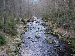 Oder near Rinderstall 05.jpg 78892716 6 585 20190601074157