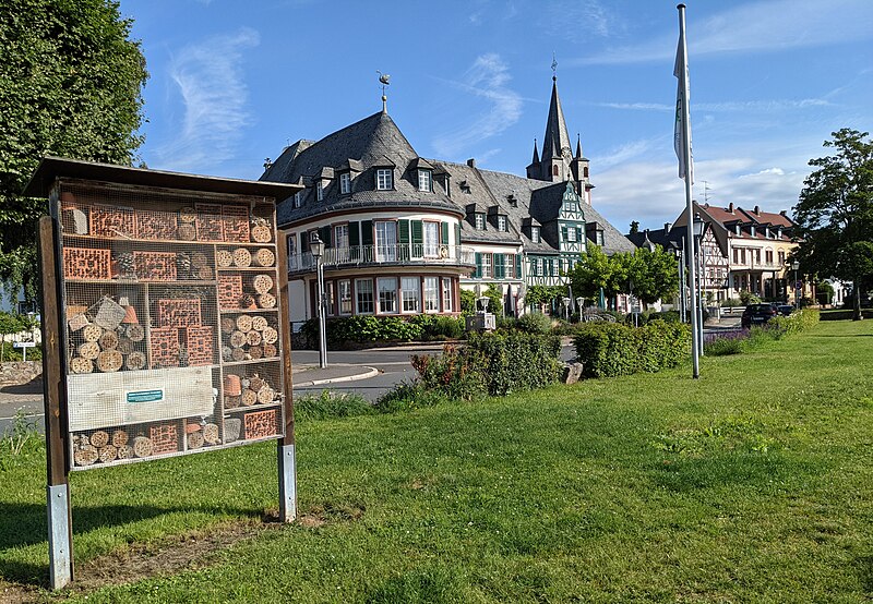 File:Oestrich-Hotel Schwan-02-2021-gje.jpg