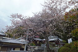 お松大権現: 歴史, 沿革, 祭事