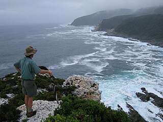 <span class="mw-page-title-main">Otter Trail</span> Hiking trail along the Garden Route coast, South Africa